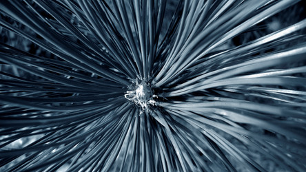 Similar image 8075752