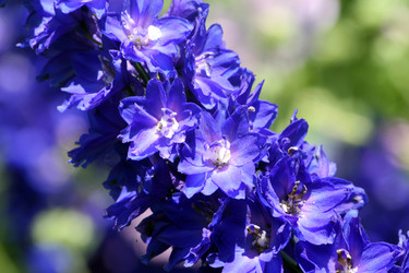 Similar image 8075753