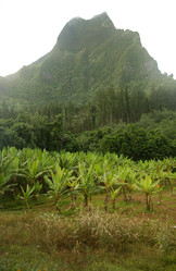 Similar image 8075771