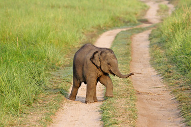 Similar image 8075775