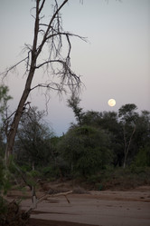 Similar image 8075789