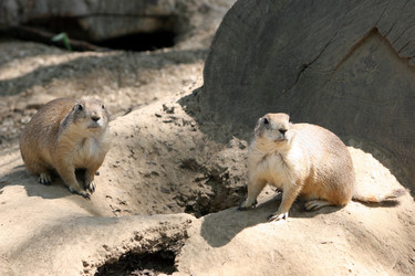 Similar image 8075794