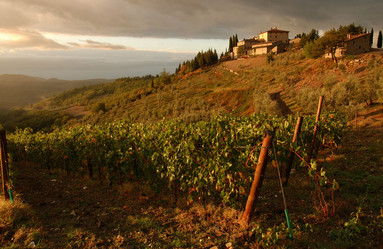 Similar image 8075806