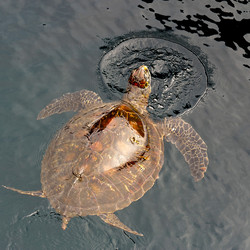 Similar image 8075811