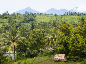 Similar image 8075813