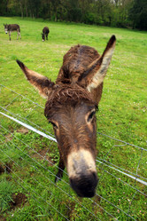 Similar image 8075817