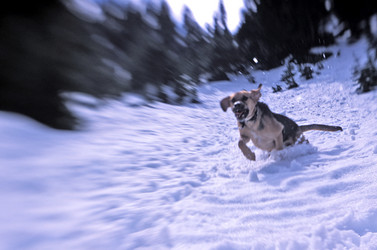 Similar image 8075819