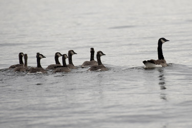 Similar image 8075822