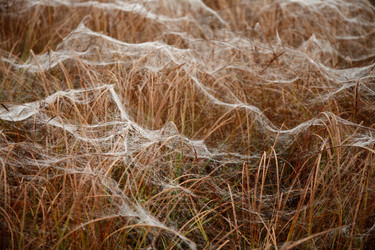 Similar image 8075823