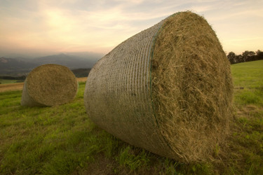 Similar image 8075827