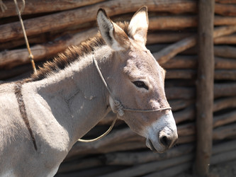 Similar image 8075828