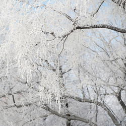 Similar image 8075834