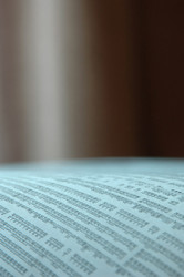 Similar image 8075858