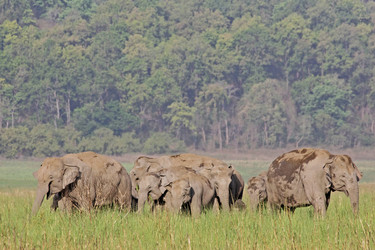 Similar image 8075860