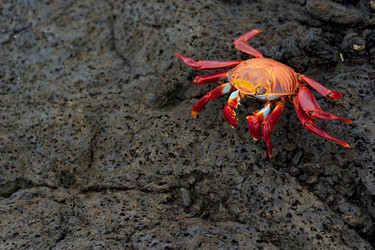 Similar image 8075867