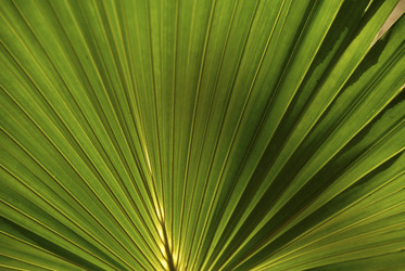 Similar image 8075868