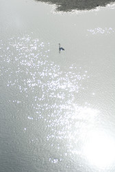 Similar image 8075870