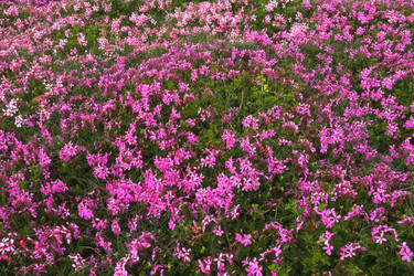 Similar image 8075921