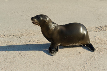 Similar image 8075922