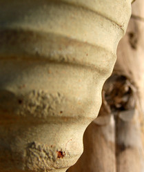 Similar image 8075925