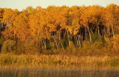 Similar image 8075935