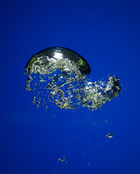 Similar image 8075964