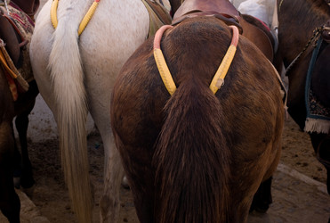 Similar image 8075986