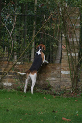 Similar image 8075987