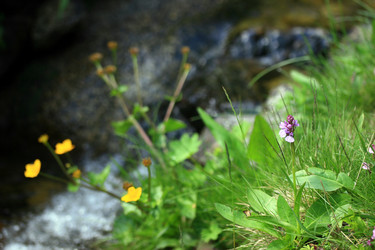 Similar image 8075996