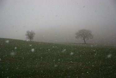 Similar image 8075997