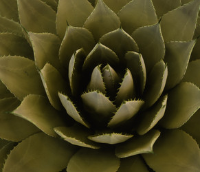 Similar image 8076000