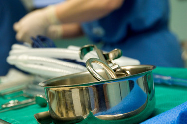 Similar image 8076002