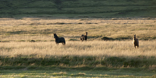 Similar image 8076012