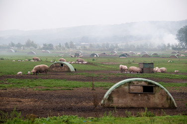 Similar image 8076014