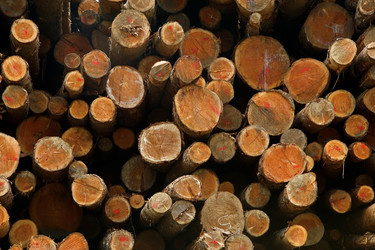 Similar image 8076019