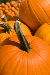 Similar image 8076021