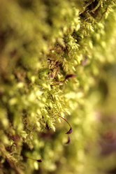 Similar image 8076099