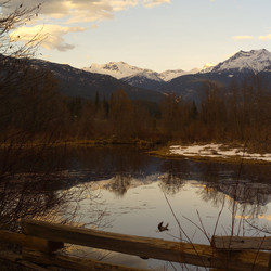 Similar image 8076103