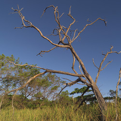 Similar image 8076106