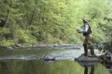 Similar image 8076109