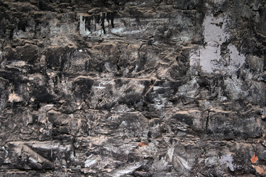 Similar image 8076115