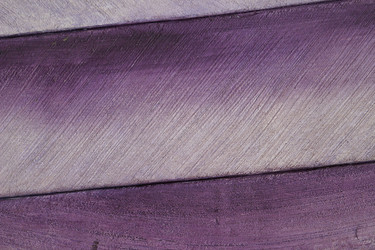 Similar image 8076116