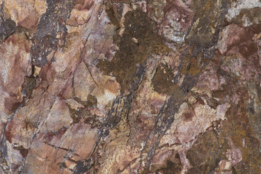 Similar image 8076117