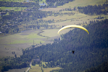 Similar image 8076120