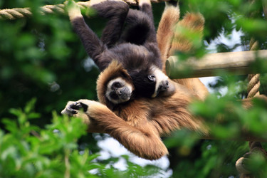 Similar image 8076126