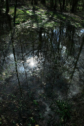 Similar image 8076130