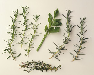 Similar image 8076132