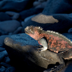 Similar image 8076138