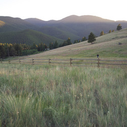 Similar image 8076139