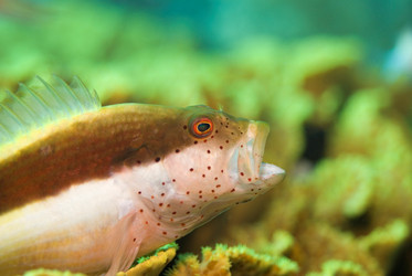 Similar image 8076145